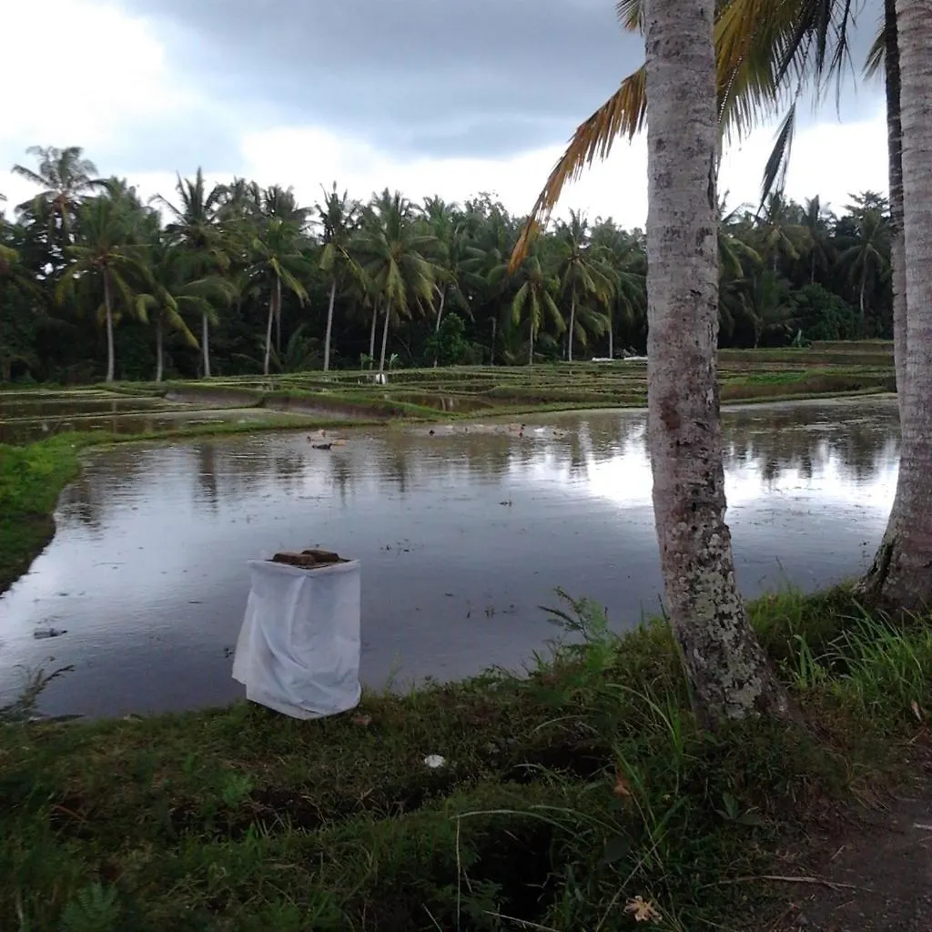 בית הארחה Bella Villas Ubud