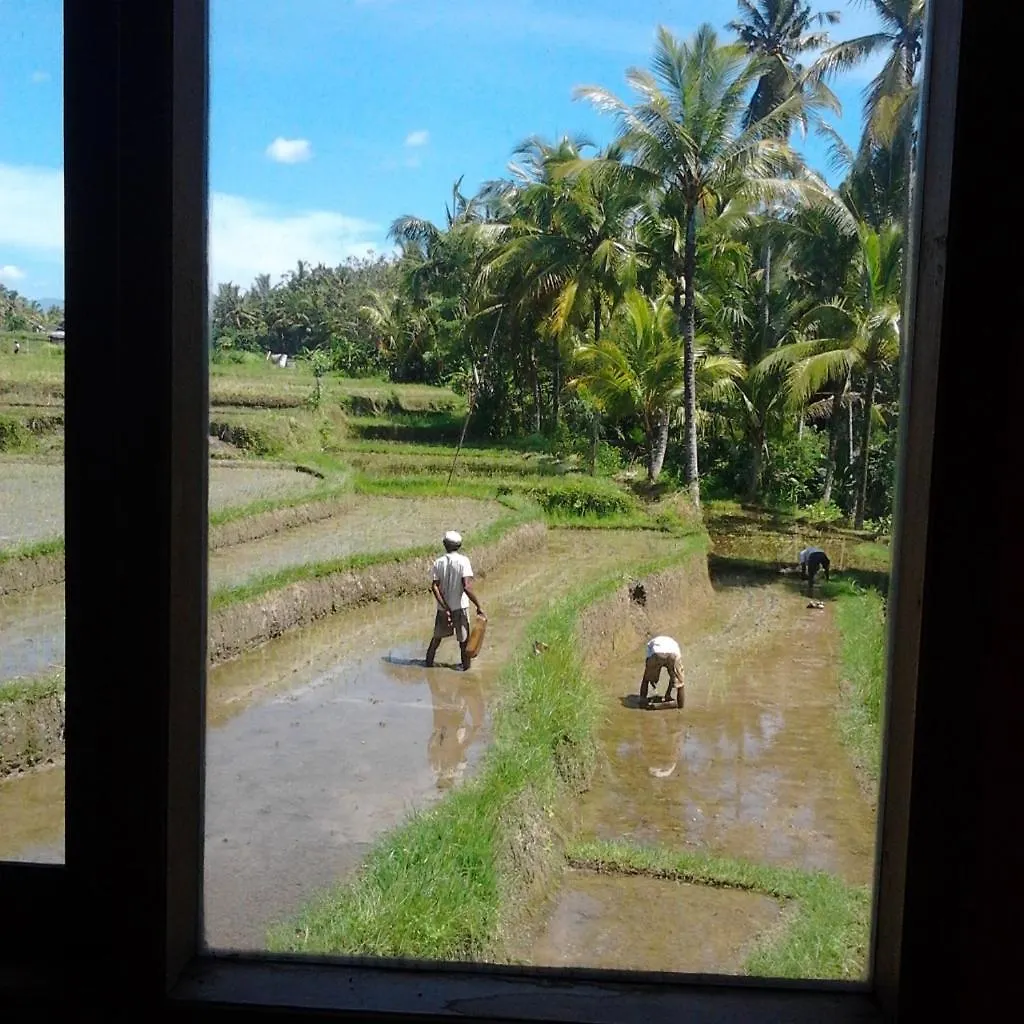 Bella Villas Ubud אינדונזיה