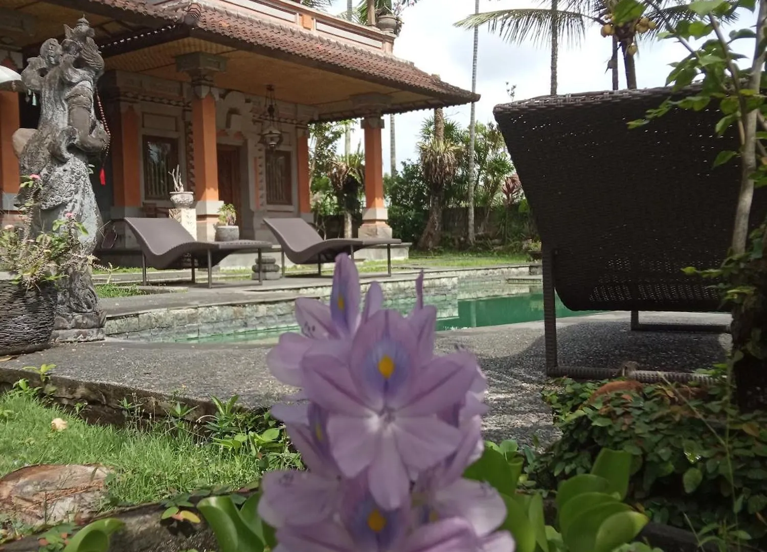 Bella Villas Ubud בית הארחה