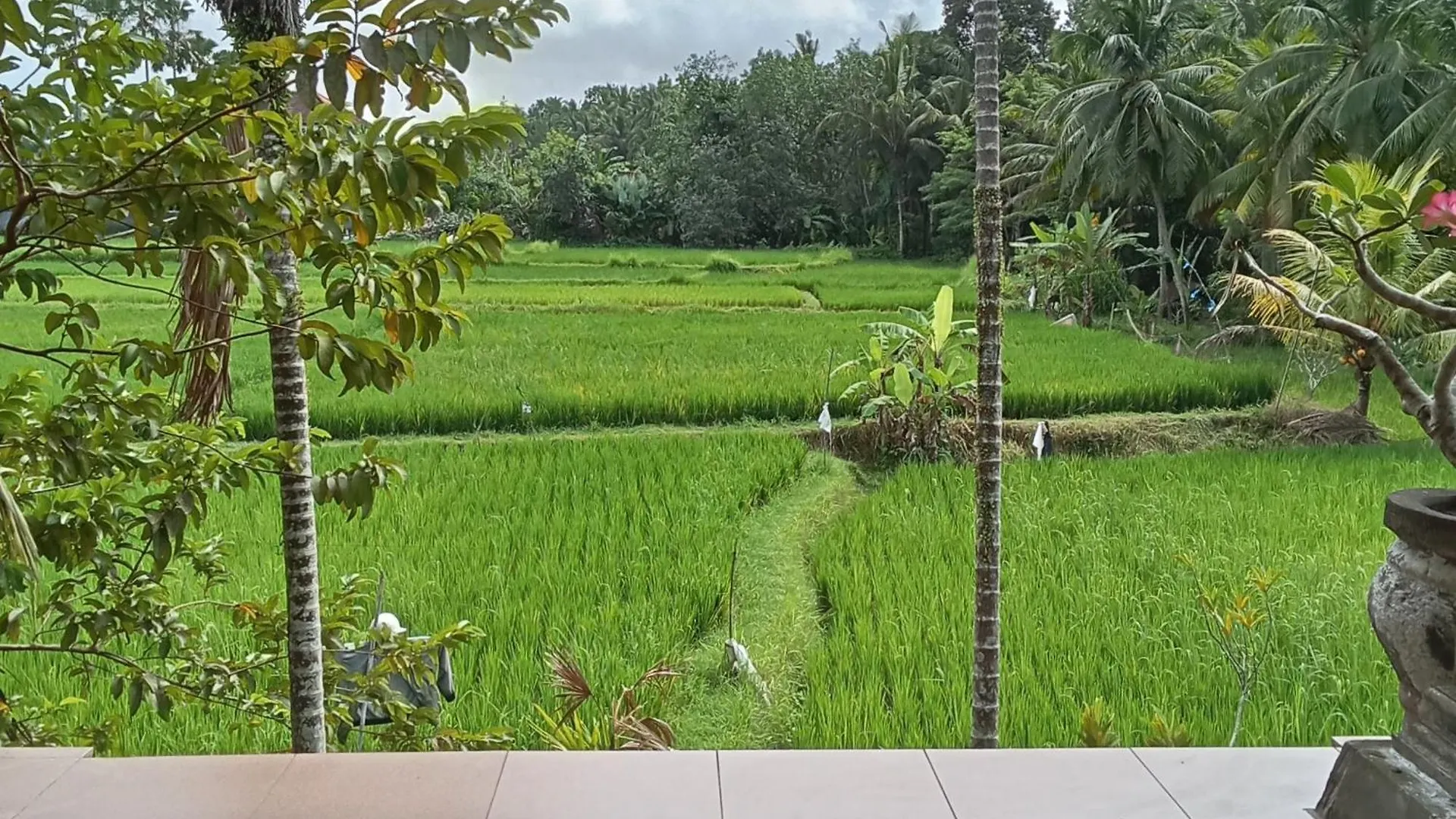 Bella Villas Ubud בית הארחה אובוד